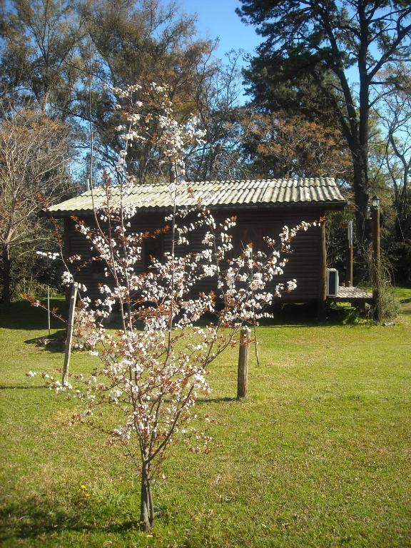 Cabanas Las Lavandas En Pilar Pilar  Esterno foto