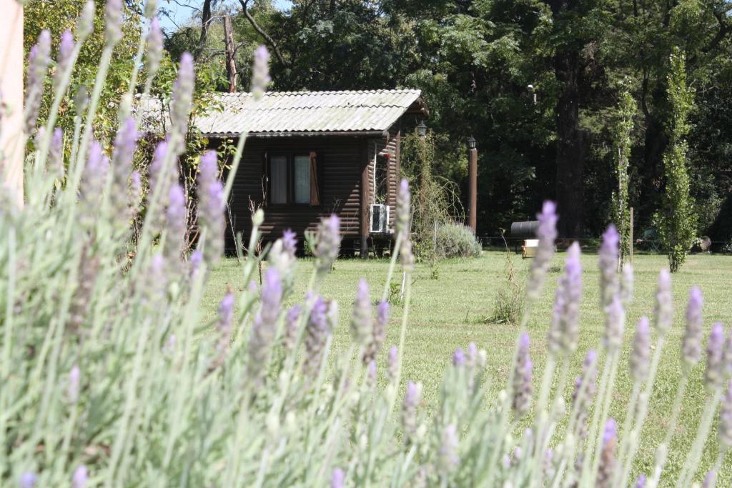 Cabanas Las Lavandas En Pilar Pilar  Esterno foto
